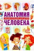 Анатомия человека. Энциклопедия для детей